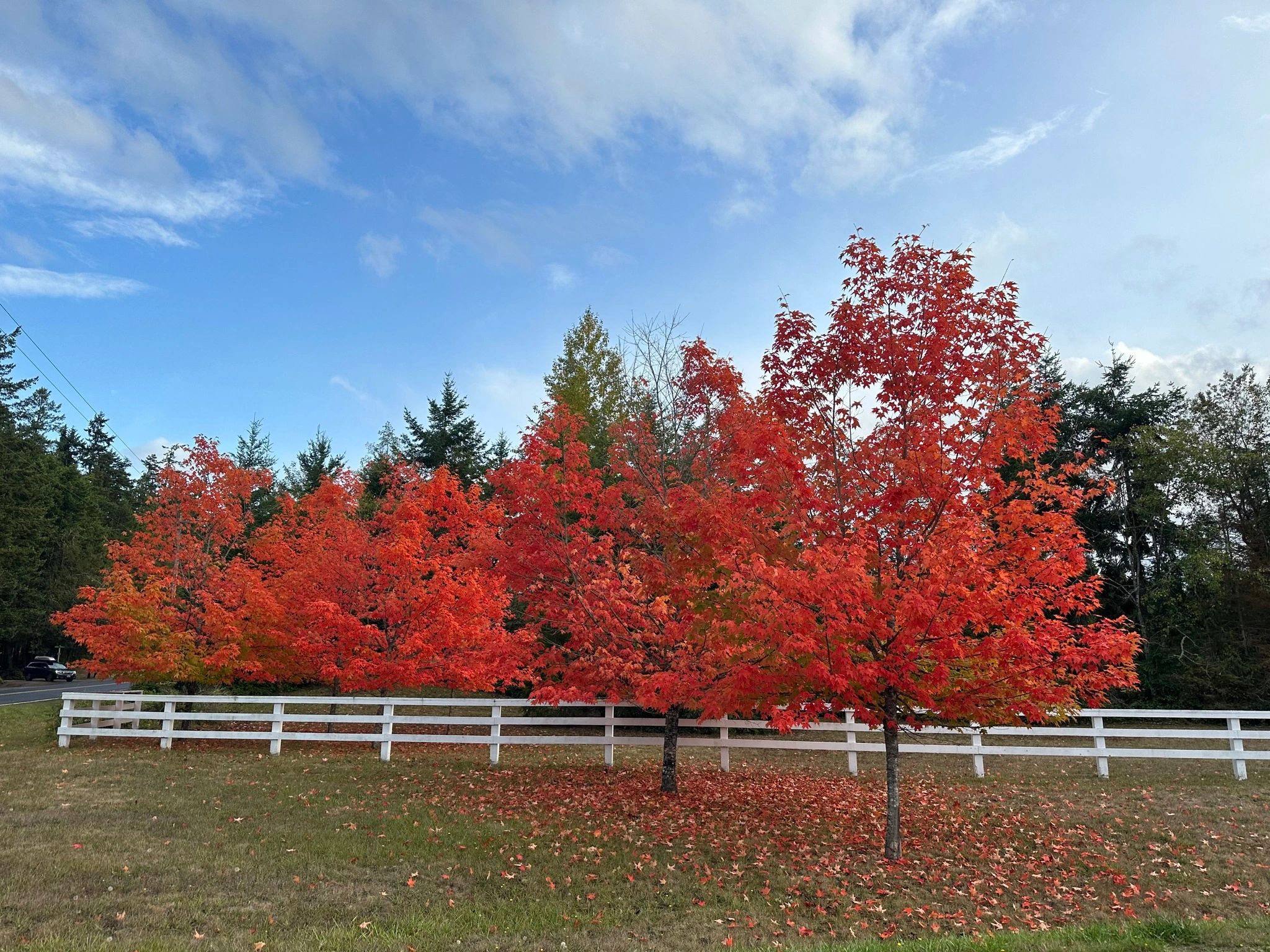 Blue Sage Property Management Home